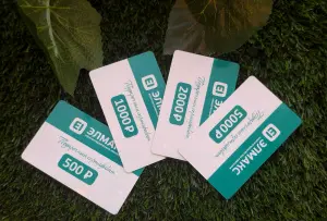 ЭЛМАКС - Подарочная карта 500 р элмакс, электротехника, кабель, светотехника, elmax.pro